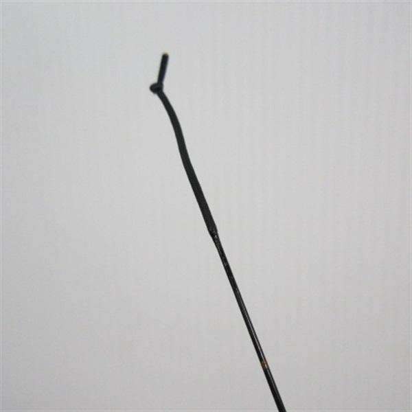 世紀ハエヤマベ２号十三